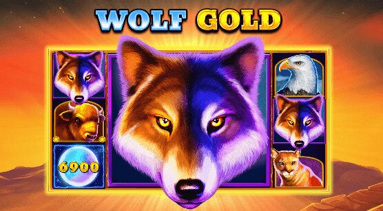 wolf gold blazing reels